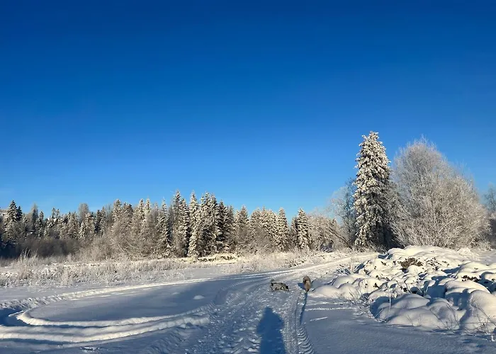 Privat bolig U Danusi Czarna Góra